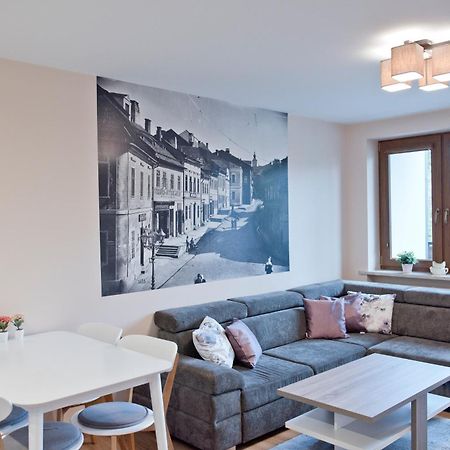 Academy Apartment Cieszyn チェシン エクステリア 写真