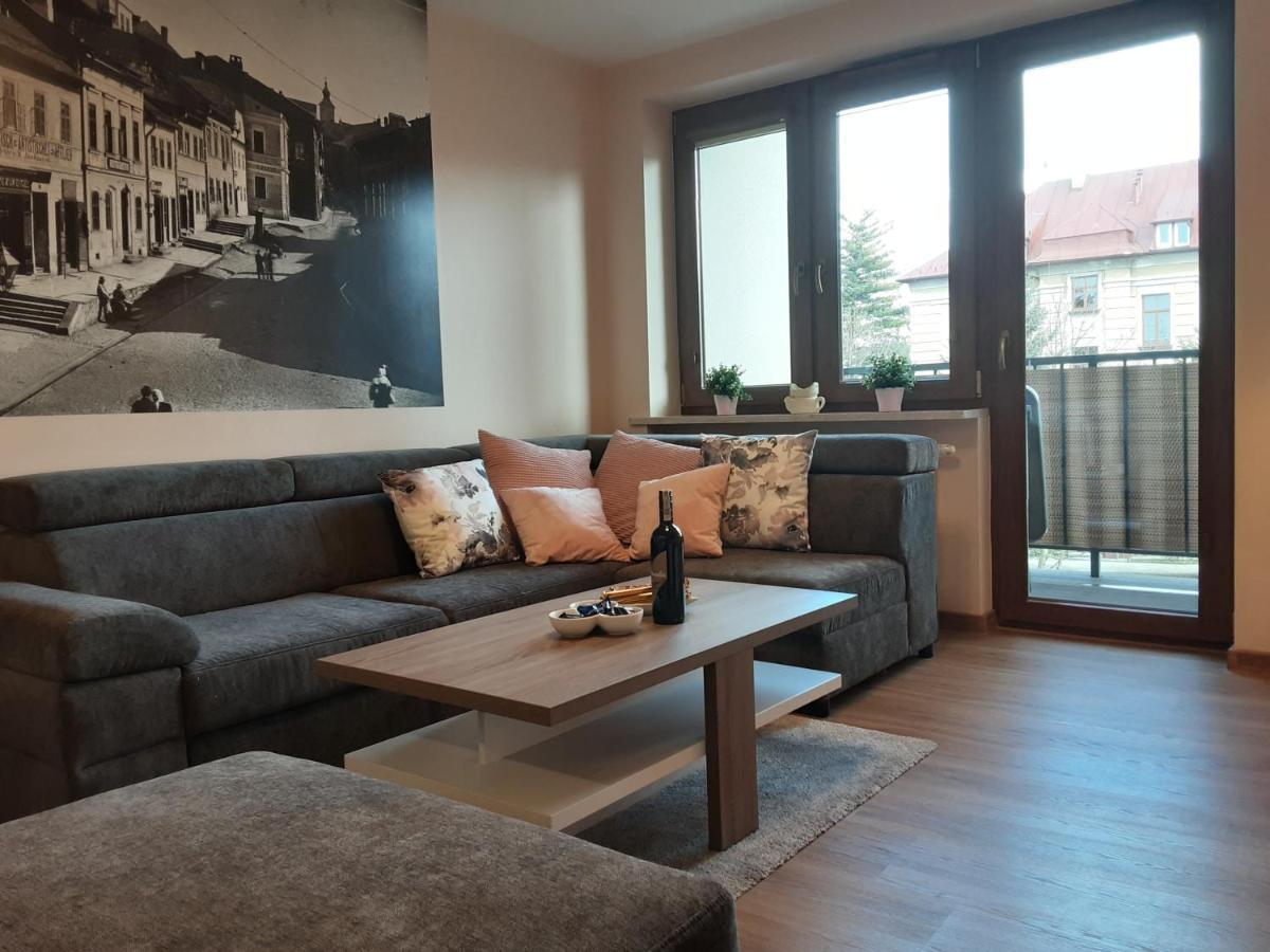Academy Apartment Cieszyn チェシン エクステリア 写真