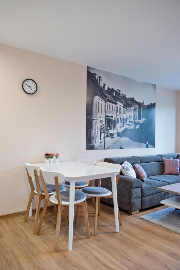 Academy Apartment Cieszyn チェシン エクステリア 写真